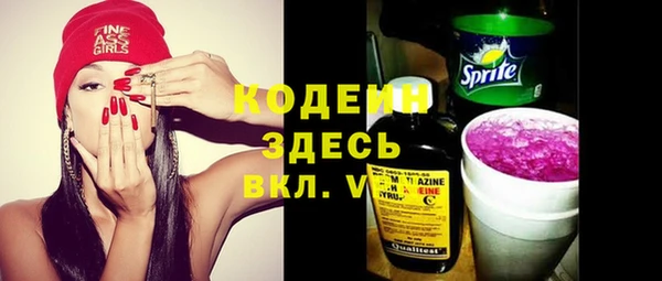 СК Медвежьегорск